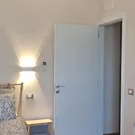 Alcantara